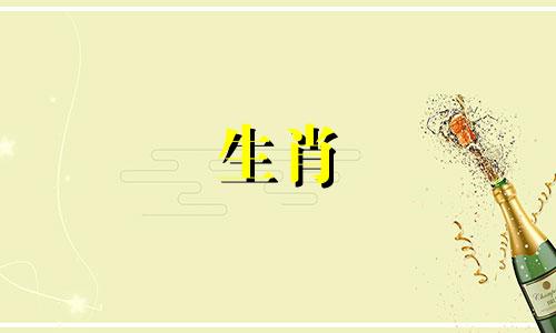 属兔的女孩一生会过得很好，也会安然老去。