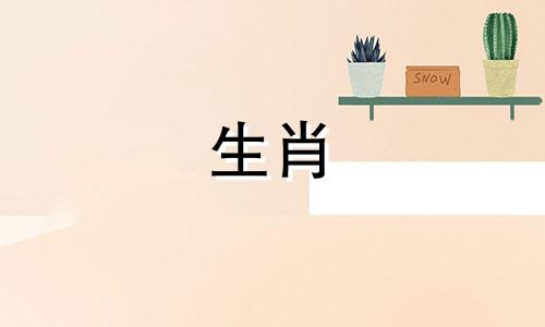 属猪的人开白色车好吗？什么颜色的汽车最适合驾驶？