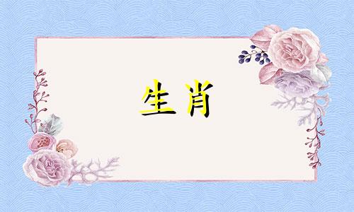 属蛇人在2023年的运势将会达到顶峰,那么属蛇人在2023年会有什么喜事呢?