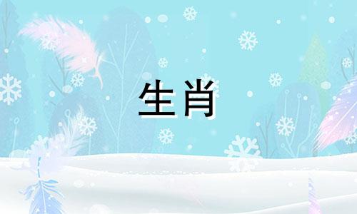 2023年属兔人应该用什么头像才能带来好运和财富呢?