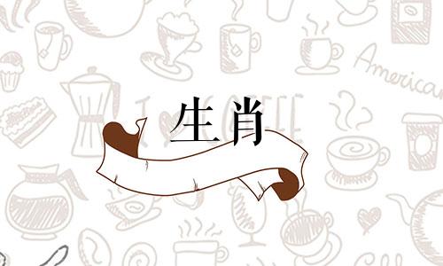 属蛇的新娘适合什么生肖?这个星座非常适合伴娘。