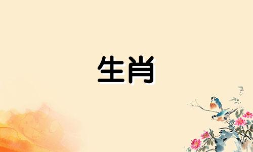 狗年男性结婚时有哪些禁忌？