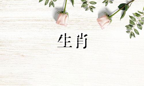 属鸡男结婚忌讳什么生肖，属鸡男最适合什么生肖，女人最适合什么生肖