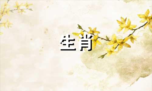 生肖兔的女孩会有好运和厄运。