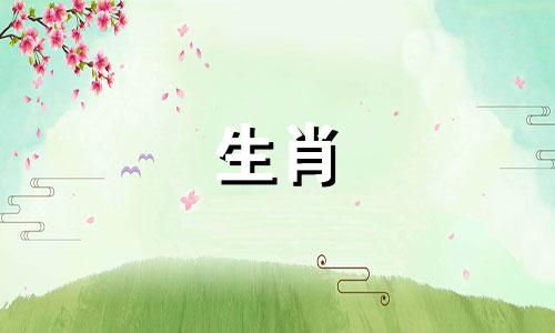 2023年属鸡人会离婚吗?为什么说不能嫁给属鸡的男人呢?