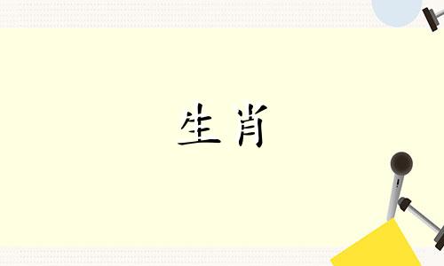 2023年是黑兔年，对于属龙年出生的人来说会好吗？他们会在哪些方面发展得最好？