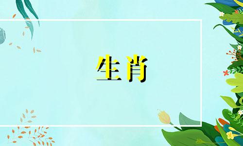 2007年是什么生肖?你今年几岁了? 2007年是哪一年的火灾?
