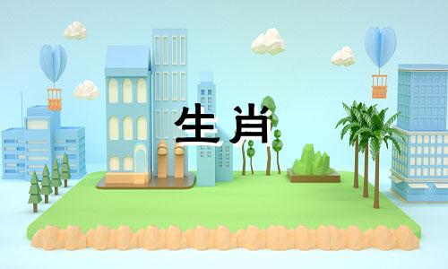 海市兔年出生的人有好处吗？为什么女人害怕生在海市？