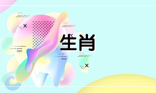 2023年兔年要避免的事情