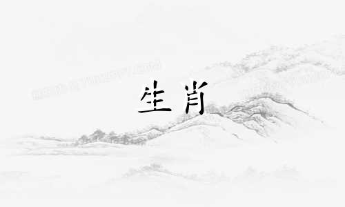 属猴人最喜欢什么车？买车时应该注意什么？