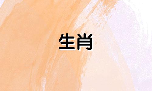 属兔三合和三合是什么生肖？兔年出生的贵人是什么生肖？