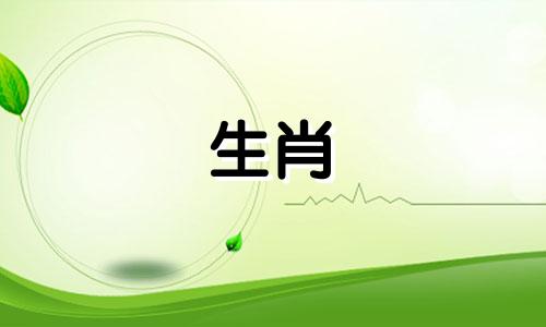 如果新郎是蛇，伴郎应该找什么生肖？