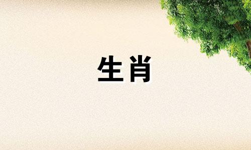 兔年你什么时候出生?兔年你什么时候出生?兔年你什么时候出生?