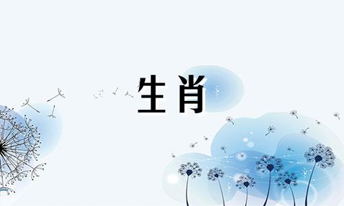 鼠年出生的新娘适合什么生肖?伴娘会根据星座来选吗?