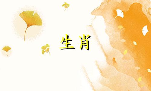 属鼠就不能穿有猫图案的衣服吗？属鼠喜欢什么动物标志？