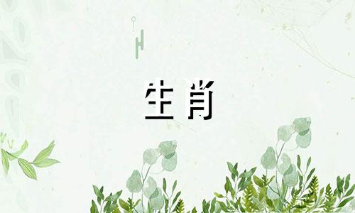 麦玲玲2023年属猴人运势及属猴人的幸运数字和颜色