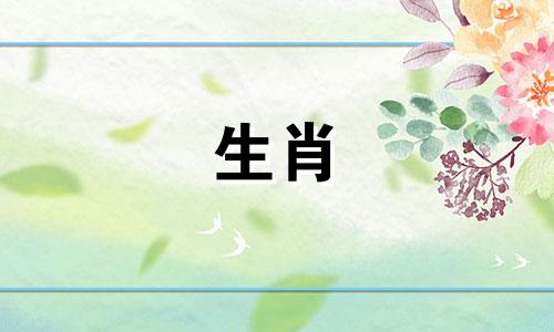 属龙女属于哪个生肖，就有她一生的命运。