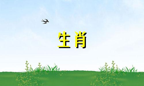 如果新郎是牛，伴郎应该选择什么生肖来搭配呢？