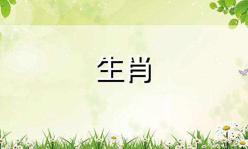 生肖属龙在2023年会带来大喜,那么2023年你应该穿什么衣服呢?