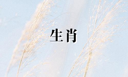 如果你是一只1970年出生的53岁属狗的人，你会运气好、身体健康吗？