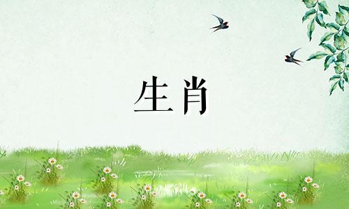 2023年对于属鸡的人来说是几岁呢？兔年会很惨吗？