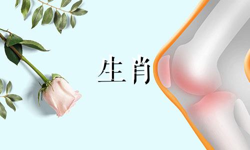 2023年生肖鼠最忌讳的颜色是吉与凶。 2023年属鼠人的幸运色