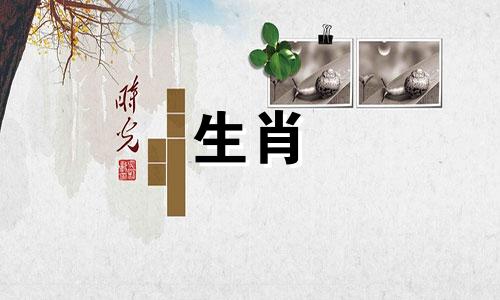 2023年生肖马的女性2023年运势，马最怕什么生肖？