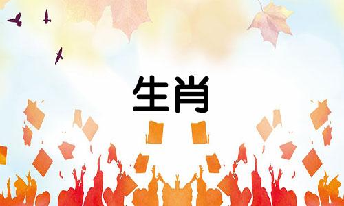 2023年、1991年出生的女性全年运势