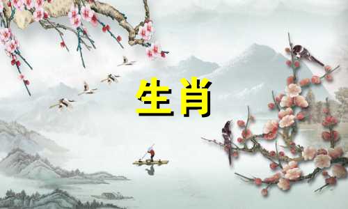 1996年鼠年什么时候运气好?人生会有什么福气呢?