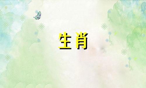 1994年狗年出生的人，28岁以后会越来越好，哪一年结婚呢？