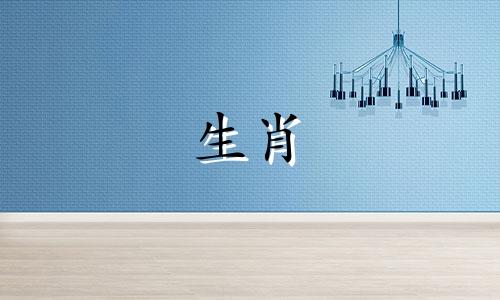 1996年的婚姻属鼠,属于哪一年? 1996年鼠和虎会相配吗?