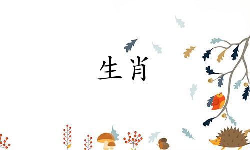 1998年虎年出生的25岁的人爱情运会好吗？他什么时候才能遇到合适的对象呢？