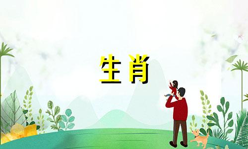 87属兔人36岁以后运势如何？ 87兔人生的转折点是什么？