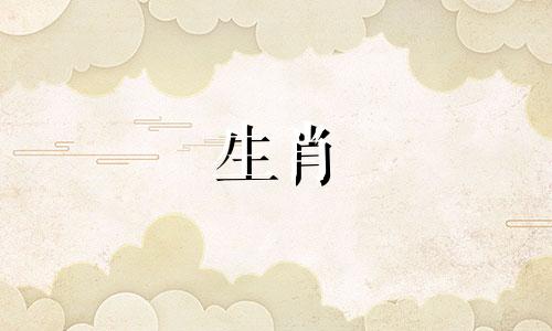 2023年属狗人的禁忌颜色有哪些？十二生肖狗的幸运颜色是什么？