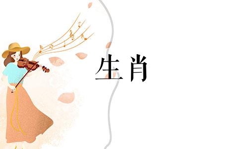 属鼠的贵人与克星：属鼠的人在哪几年出生，生活最好？