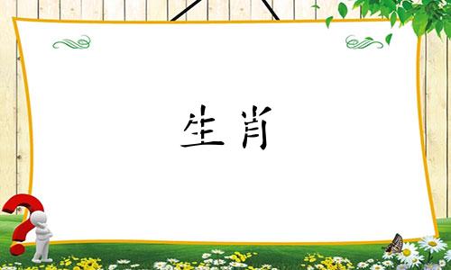 48岁的属兔人有什么星？生肖兔87的幸运数字和颜色是什么？