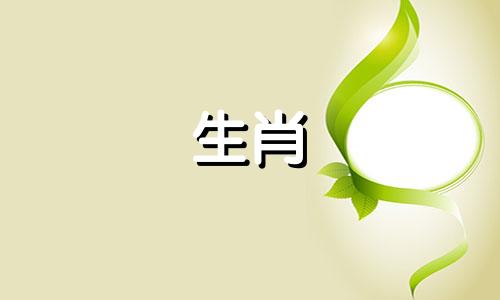 1978年出生的属马人45岁以后,一生运势如何? 1978年出生的45岁马,会遭遇什么灾难呢?