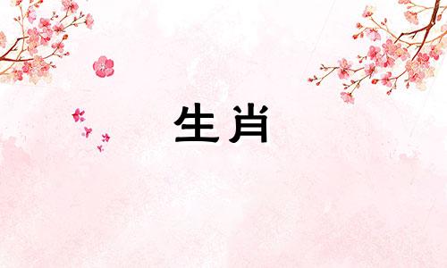 对于1982年狗年出生的41岁人来说，三大坎坷是什么？ 1982年狗年哪一年运气最好？