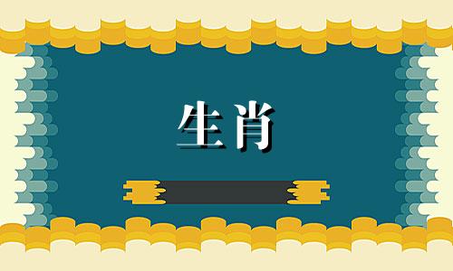 1977年出生的蛇年人46岁之后的人生命运将会如何？ 2023年运势详解