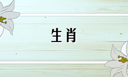 2023年属蛇的吉祥颜色是什么？橙色，橙色，红色和蓝色。