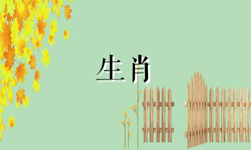 为什么五月养兔难？五月出生的属兔人命运如何？