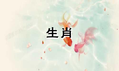 2023年属马的人会坐牢吗？马与哪些生肖有冲突？