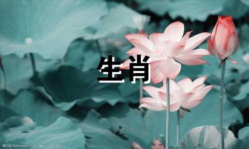 1974年属虎一生的三大坎会不会是倒霉呢?