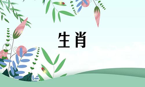 属猪人选2023年1月至12月结婚吉日吧！