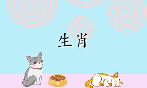 鸡年查询表。当你出生时,就会有好运。