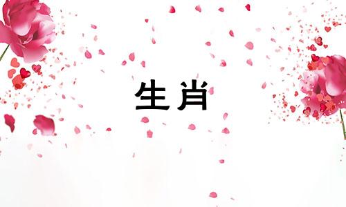 属鼠、三合、三合最忌什么颜色？