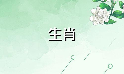 十二生肖鼠12月份的运势如何？ 12月属鼠人的财运如何？