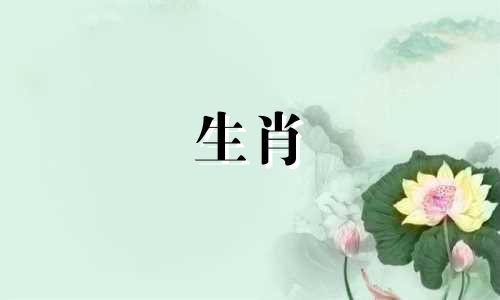 十二月属虎人的运势如何？属虎人12月的运势如何？