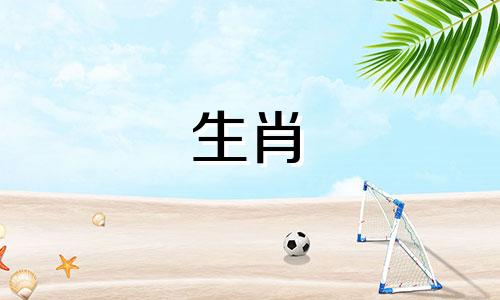 2023年，属鸡年的天一贵人最旺的方向是什么？