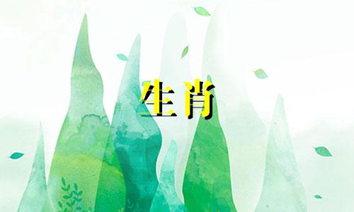 2023年对于属龙的天一来说,是属龙人最不吉利的年份。